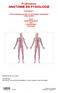 Proefexamen ANATOMIE EN FYSIOLOGIE