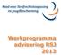 Werkprogramma advisering RSJ 2013