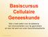 Basiscursus Cellulaire Geneeskunde