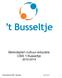 Beleidsplan cultuur-educatie OBS t Busseltje 2010-2015