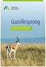 Gazellesprong. Enkele interessante steunmaatregelen voor snelgroeiende ondernemingen. Gazellesprong - 1