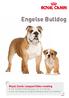 Engelse Bulldog. Royal Canin rasspecifieke voeding voor Engelse Bulldog pups tot 12 maanden voor de volwassen Engelse Bulldog vanaf 12 maanden
