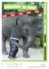 Werkboek. Leer olifanten kennen en beschermen SOSSOS. Lespakket voor leerjaar 4, 5 en 6 basisonderwijs (België) 2012 Elephant Parade