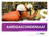 HSE guidelines mei 2012 AARDGASCONDENSAAT HSE LIFE THE NATIONAL OIL&GAS INDUSTRY STANDARD FOR PROFESSIONALS