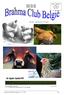 Brahma Club België, jaargang 9 / nr 3 2010 Pg 1