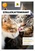 Straatkattenkrant. Zwerfkatten Een maatschappelijk probleem p.3. Alsnog n goede start Zwerfkittens in gastgezinnen p.5