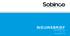 Nieuwsbrief. www.sobinco.com