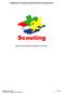 Stappenplan invoering Scouting Academy op groepsniveau Opgesteld door praktijkcoaches Regio Hart van Brabant
