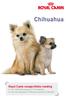 Chihuahua. Royal Canin rasspecifieke voeding voor Chihuahua pups tot 8 maanden voor de volwassen Chihuahua vanaf 8 maanden