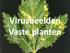Virusbeelden Vaste planten
