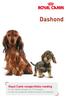 Dashond. Royal Canin rasspecifieke voeding voor Dashond pups tot 10 maanden voor de volwassen Dashond vanaf 10 maanden