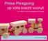 Prima Pleegzorg: op volle kracht vooruit. innovatieplan voor de pleegzorg in Limburg