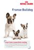 Franse Bulldog. Royal Canin rasspecifieke voeding voor Franse Bulldog pups tot 12 maanden voor de volwassen Franse Bulldog vanaf 12 maanden