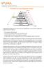 Piramide van (neuro)logische niveaus