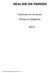 HEALWEI EN FIERDER. Dorpsvisie van de dorpen. Skingen en Slappeterp. Dorpsvisie Skingen/Slappeterp versie 2013 1.2