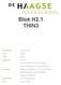 Blok H2.1 THIN3. Concepten rapport. Luuk de Jong(10071482), Tomas Lenssen(10026347), Maik Klijberg(10066543), Samuel Liem(09048790),