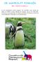 DE HUMBOLDT PINGUÏN. Een levend kostuum