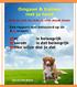 Omgaan & Trainen met je hond Door: Jan van den Brand. (3 e druk) 2015, Jan van den Brand www.hondentraining adviescentrum.nl