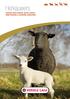 Herkauwers. VOEDERS VOOR schapen, geiten, herten, hobbyvarkens & uitheemse herbivoren
