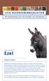 Equus asinus. www.licg.nl. Serie zoogdieren Ezel