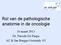 Rol van de pathologische anatomie in de oncologie. 16 maart 2013 Dr. Pascale De Paepe AZ St Jan Brugge-Oostende AV