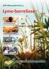 SVN Nieuwsbrief n0.2. Lyme-borreliose. Geschiedenis van Lyme. De symptomen van Lyme. Tekenbeet voorkomen... Een verraderlijke bacterie