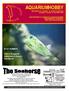 AQUARIUMHOBBY Maandblad voor zoetwater- en zeewater aquarianen Jaargang 3, nummer 10, november 2004