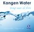 Kangen Water. terug naar de bron. Change your Water - Change your Life