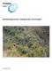 Herbebossing in het Andesgebergte van Ecuador