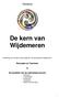 De kern van Wijdemeren