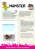 HAmster. Kids for Animals Hamster spreekbeurt. Hamster kennis. Gedrag. Een hamster als huisdier