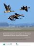 Ecologische gegevens van vogels voor Standaard Gegevensformulieren Vogelrichtlijngebieden