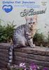 Inhoudsopgave. Belgian Cat Fanciers vzw. Kruisstraat 33