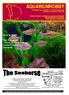 AQUARIUMHOBBY Maandblad voor zoetwater- en zeewater aquarianen Jaargang 3, nummer 04, april 2004