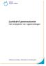 Lumbale Laminectomie Het verwijderen van rugwervelbogen
