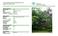 Inventarisatie beschermwaardige bomen Gemeente Heerenveen