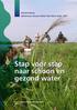 Samenvatting Adviesnota Schoon Water Rijn-West 2016-2021. Stap voor stap naar schoon en gezond water
