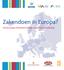 Zakendoen in Europa? De Europese Dienstenrichtlijn maakt het u makkelijk.