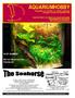 AQUARIUMHOBBY Maandblad voor zoetwater- en zeewater aquarianen Jaargang 4, nummer 08, september 2005 y