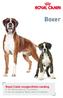 Royal Canin rasspecifieke voeding voor Boxer pups tot 15 maanden voor de volwassen Boxer vanaf 15 maanden. Boxer