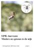 NME- leerroute Vlinders en spinnen in de wijk. s-hertogenbosch, BBS Nieuw-Zuid - groep 4 -