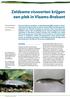 Zeldzame vissoorten krijgen een plek in Vlaams-Brabant