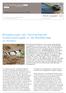 Broedsucces van kenmerkende kustbroedvogels in de Waddenzee in mineur