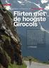 Flirten met de hoogste Girocols