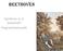 Beethoven. Symfonie nr. 6 pastorale Programmamuziek