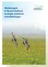 Weidevogels in Noord-Holland; ecologie, beleid en ontwikkelingen