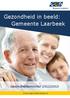 Gezondheid in beeld: Gemeente Laarbeek