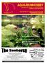 AQUARIUMHOBBY Maandblad voor zoetwater- en zeewater aquarianen Jaargang 3, nummer 06, juni 2004