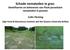 Schade nematoden in gras: Identificeren en beheersen van Plant parasitaire nematoden in grassen