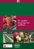 De complete bemesting voor aardbeien